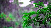 Rayonlara intensiv yağış və dolu yağacaq - Günün havası 