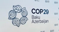 COP29 Akademiyasının rəsmi açılış mərasimi KEÇİRİLİB