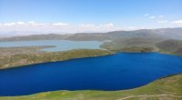 Abşeronda gölməçədə qadın meyiti TAPILDI