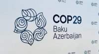 COP29-un ilk rəsmi tərəfdaşları AÇIQLANDI