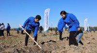 Hacıqabulda Tuqay meşəsinin bərpası aksiyası keçirilib - FOTO