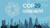 COP29 gündəliyi - 19.11.2024