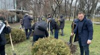 Kişineuda “Xarıbülbül” Azərbaycan-Moldova Dostluq Xiyabanı salındı - FOTO