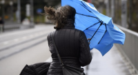 FAKTİKİ HAVA: Bu ərazilərdə güclü külək əsib