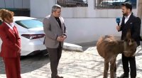 Türkan üçün efirə uzunqulaq gətirdilər – VİDEO