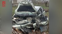 Qubada “Prius” ağacı AŞIRDI