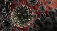Bəşəriyyət yeni ölümcül epidemiya ilə üz-üzə: Bu heyvanlardan keçəcək