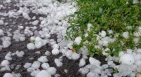 GÜNÜN HAVASI: Şimşək çaxacaq, dolu düşəcək