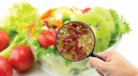 Qidada olan antibiotiklər: Onlar niyə təhlükəlidir?