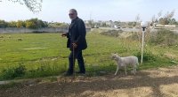 Quzu sahibinin yanından bir an belə ayrılmır: “Hara gedirəmsə...” – FOTO