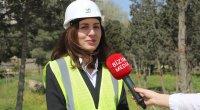 Depodan 446 ağac KÖÇÜRÜLƏCƏK