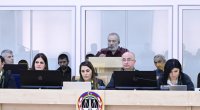 Babayan: Qondarma rejimin “qurumları”nın veb-saytları Ermənistanın “.am” domeni ilə qeydiyyata alınırdı