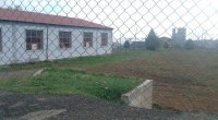 Gədəbəydə stadionu şumladılar: Kartof əkəcəklər - FOTO