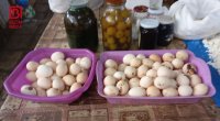 Rekord UCUZLAŞMA – Kənd yumurtası 15 qəpiyə SATILIR – FOTO