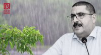 Ekoloq: “Yağışın ziyanı yoxdur, əksinə...”
