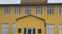 Azərbaycanda mebel fabrikinin fəaliyyəti DAYANDIRILDI - FOTO/VİDEO