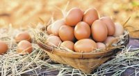 Marketlərdən sarı yumurtalar yığışdırılır - SƏBƏB