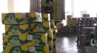 Azərbaycana gətirilən 24 ton banan məhv edildi – FOTO