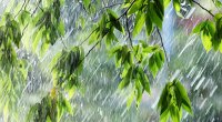 Qeyri-sabit və yağıntılı hava BU TARİXƏDƏK davam edəcək
