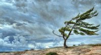 DİQQƏT: Hava ilə bağlı XƏBƏRDARLIQ EDİLDİ