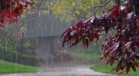 Qeyri-sabit hava nə vaxtadək DAVAM EDƏCƏK?