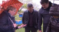 Azərbaycanda arılar kütləvi şəkildə QIRILIR – Alimlərdən HƏYƏCAN TƏBİLİ – FOTO