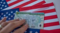 “Green Card”ın nəticələri AÇIQLANDI