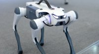 Çin terrorla mübarizədə robot itlərdən İSTİFADƏ EDƏCƏK - VİDEO