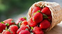 Sağlamlığa zərər vermədən nə qədər çiyələk yemək olar?