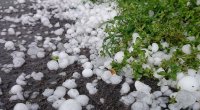 FAKTİKİ HAVA: Kəlbəcərə dolu düşüb