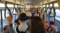 Bakıda avtobusda qeyri-adi elan: Bunu edənə pul verilir - FOTO