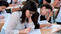 Abituriyentlərin ən çox və ən az üstünlük verdiyi İXTİSASLAR – SİYAHI