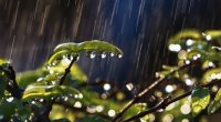 Hava kəskin dəyişir: Leysan, sulu qar... – XƏBƏRDARLIQ