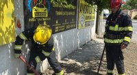 Sumqayıtda yola mənşəyi naməlum maddə dağılıb