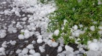Dolu düşəcək, sulu qar yağacaq – XƏBƏRDARLIQ