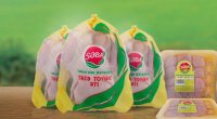 “Səba” külli miqdarda borca düşdü - Rəhbəri dəyişdi