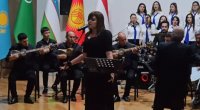 Türk dövlətlərinin səfirləri Şəkidə bir araya gəldi - FOTO