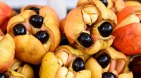 Damarları genişləndirir, qan axınını yaxşılaşdırır