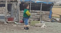 Ağcaqanad 1 yaşlı uşağın həyatını məhv etdi - 6 ildir yataq xəstəsidir - FOTO