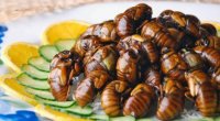 Bu ölkə Azərbaycana ədədi 170 manatdan həşərat satıb