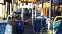 Göygöldə qadın müəllimlər avtobusda saçyolduya çıxdılar