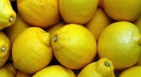 Limonu əsla BELƏ SAXLAMAYIN - Sümüklərinizi yağ kimi əridir