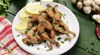 Restoranlarda verilən qurbağa əti ilə bağlı - Açıqlama