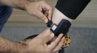 İcra Hakimiyyətinin şöbə müdirinə elektron qolbaq taxıldı