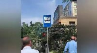 Bakıda ağac avtobus dayanacağının üstünə aşdı – VİDEO