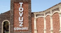 Tovuzda dəhşətli AİLƏ FACİƏSİ – Oğul anasını öldürüb, bacısını isə YARALAYIB evi yandırdı