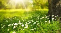 "Son zəng" günü 37 dərəcə isti olacaq – PROQNOZ