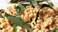 Qidada istifadə olunan qarışqa yumurtalarının 1 kiloqramı 340 manata satılır