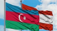 Azərbaycan və Avstriya arasında siyasi məsləhətləşmələr KEÇİRİLDİ