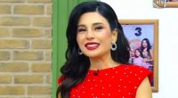 Günay: "Toylara ən çox aparılan müğənnidir, amma səsi yoxdur"